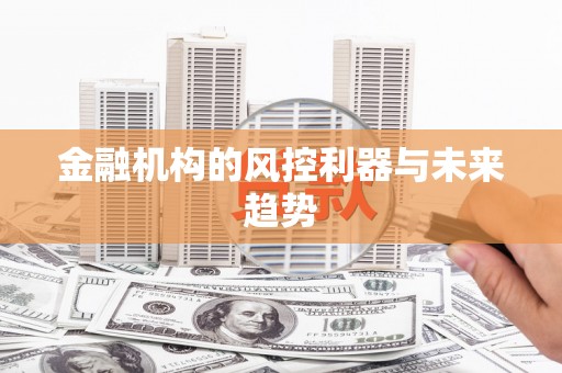兴安金融机构的风控利器与未来趋势