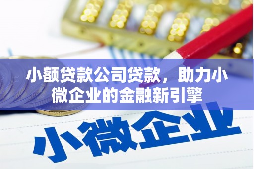 兴安小额贷款公司贷款，助力小微企业的金融新引擎