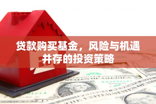 兴安贷款购买基金，风险与机遇并存的投资策略