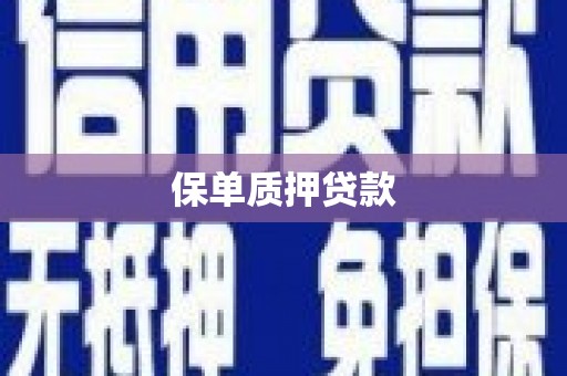 兴安保单质押贷款