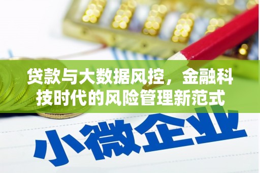 兴安贷款与大数据风控，金融科技时代的风险管理新范式