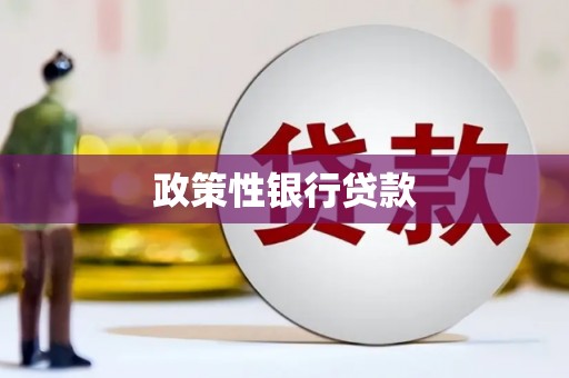 兴安政策性银行贷款