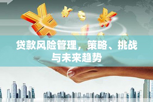 兴安贷款风险管理，策略、挑战与未来趋势
