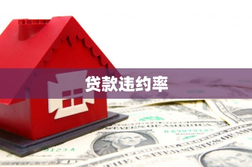 兴安贷款违约率