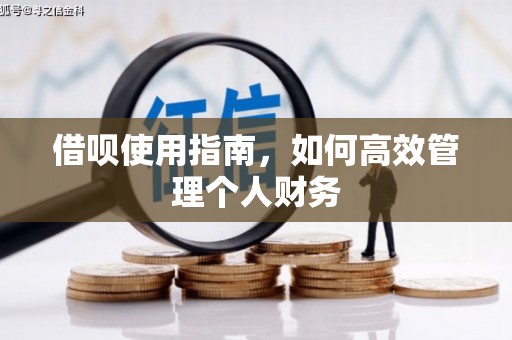 兴安借呗使用指南，如何高效管理个人财务