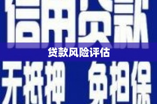 兴安贷款风险评估