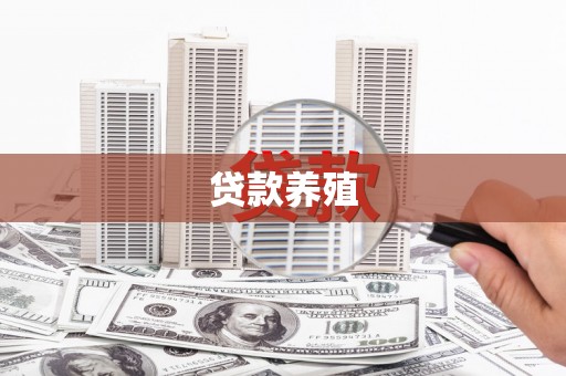 兴安贷款养殖