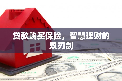兴安贷款购买保险，智慧理财的双刃剑