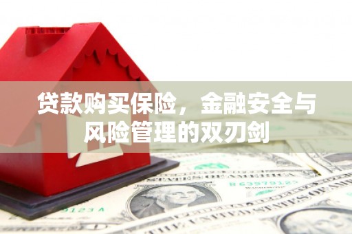 兴安贷款购买保险，金融安全与风险管理的双刃剑