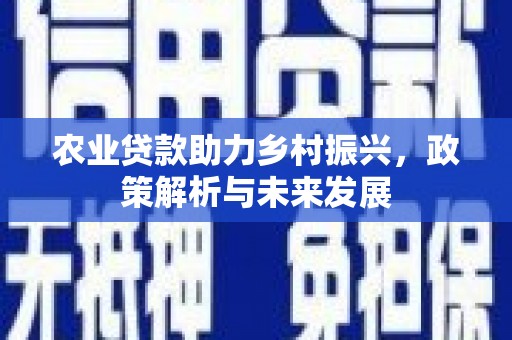 兴安农业贷款助力乡村振兴，政策解析与未来发展
