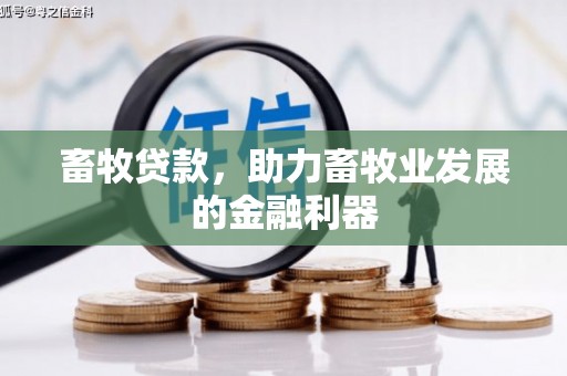 兴安畜牧贷款，助力畜牧业发展的金融利器