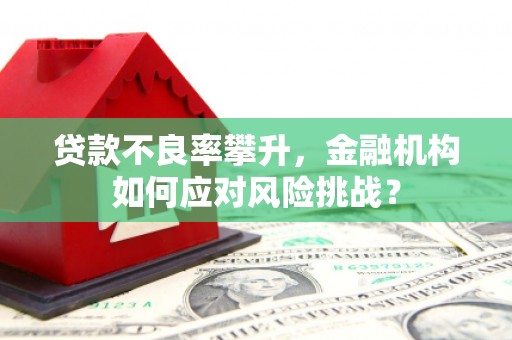 兴安贷款不良率攀升，金融机构如何应对风险挑战？