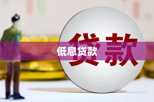 兴安低息贷款