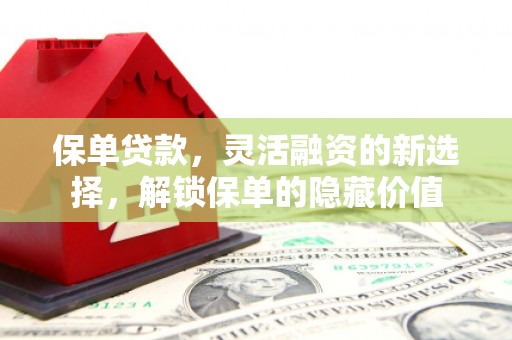 兴安保单贷款，灵活融资的新选择，解锁保单的隐藏价值