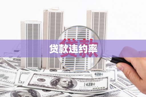 兴安贷款违约率