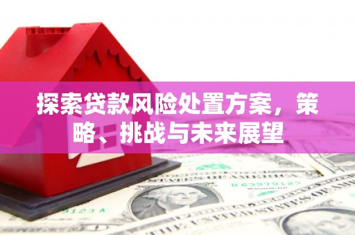 兴安探索贷款风险处置方案，策略、挑战与未来展望