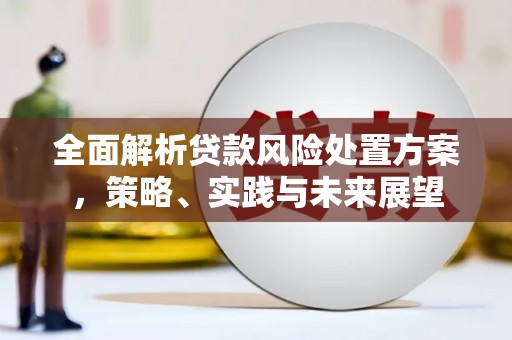 兴安全面解析贷款风险处置方案，策略、实践与未来展望