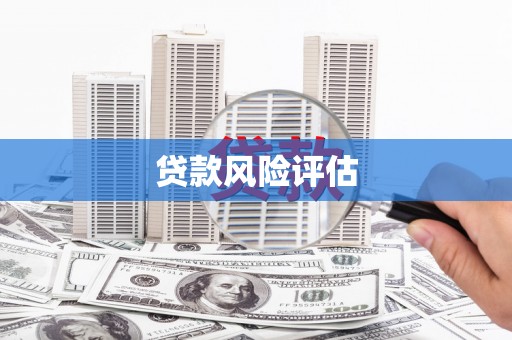 兴安贷款风险评估
