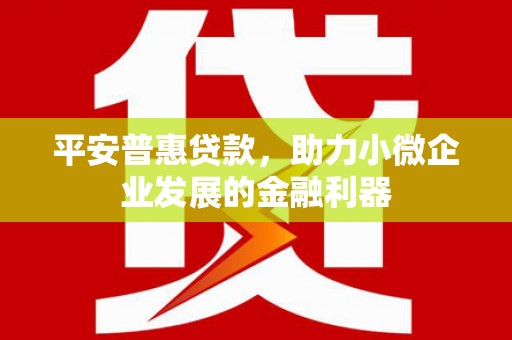 兴安平安普惠贷款，助力小微企业发展的金融利器