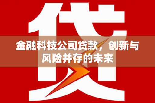 兴安金融科技公司贷款，创新与风险并存的未来