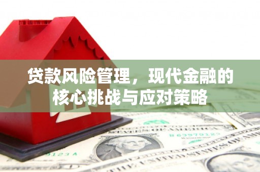兴安贷款风险管理，现代金融的核心挑战与应对策略