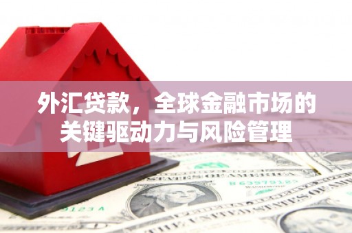 兴安外汇贷款，全球金融市场的关键驱动力与风险管理