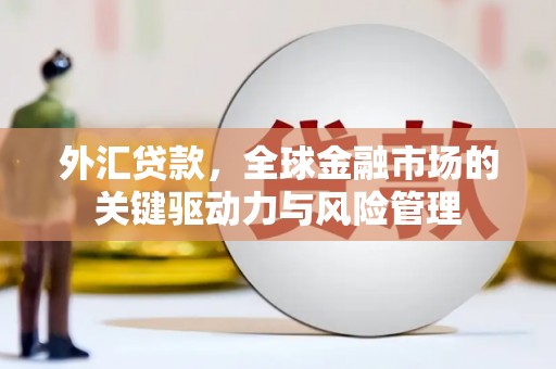 兴安外汇贷款，全球金融市场的关键驱动力与风险管理