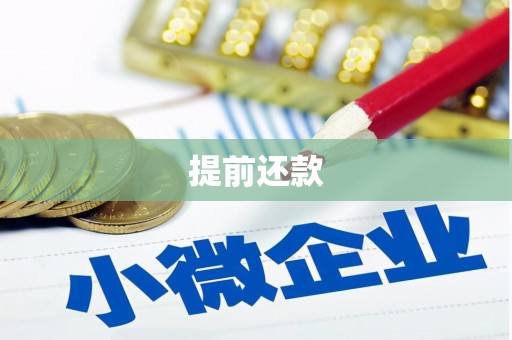兴安提前还款