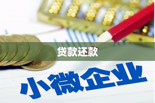 兴安贷款还款