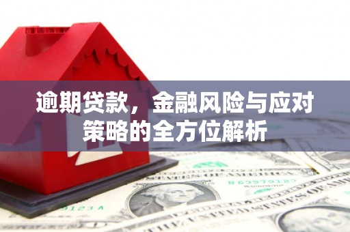 兴安逾期贷款，金融风险与应对策略的全方位解析