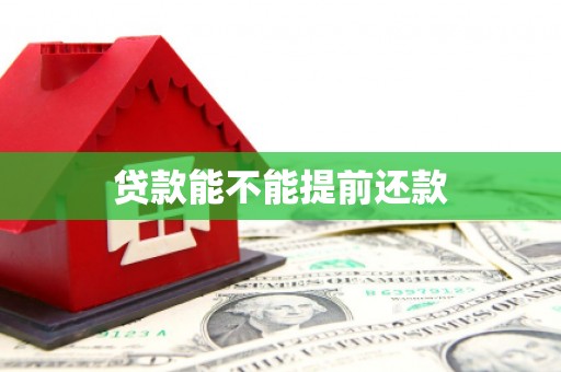 兴安贷款能不能提前还款