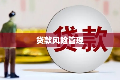 兴安贷款风险管理