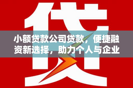 兴安小额贷款公司贷款，便捷融资新选择，助力个人与企业成长