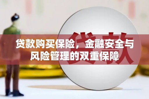 兴安贷款购买保险，金融安全与风险管理的双重保障