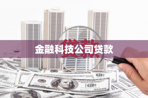 兴安金融科技公司贷款