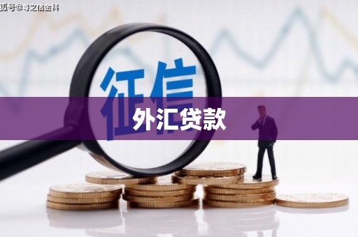 兴安外汇贷款