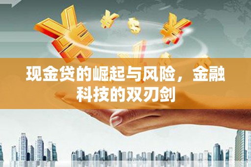 兴安现金贷的崛起与风险，金融科技的双刃剑
