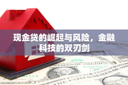 兴安现金贷的崛起与风险，金融科技的双刃剑