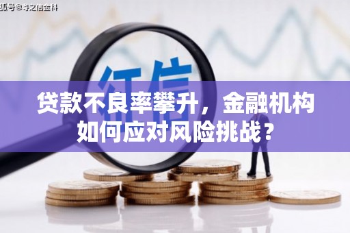 兴安贷款不良率攀升，金融机构如何应对风险挑战？