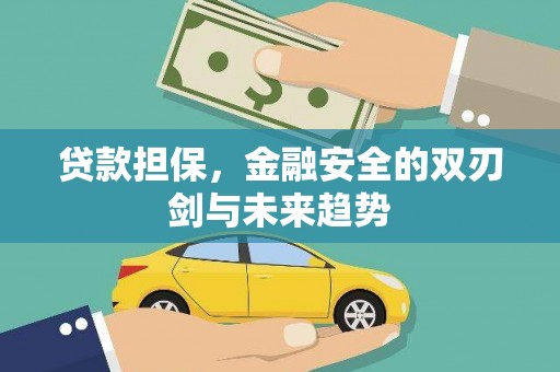 兴安贷款担保，金融安全的双刃剑与未来趋势