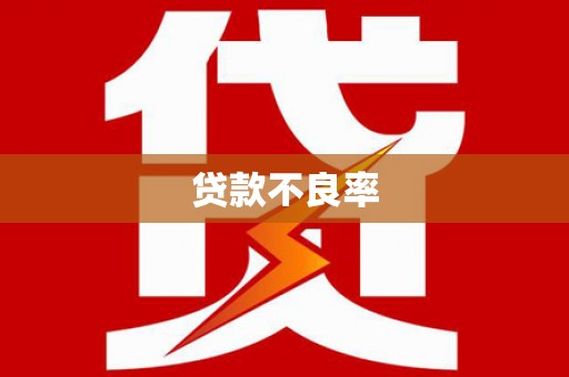 兴安贷款不良率