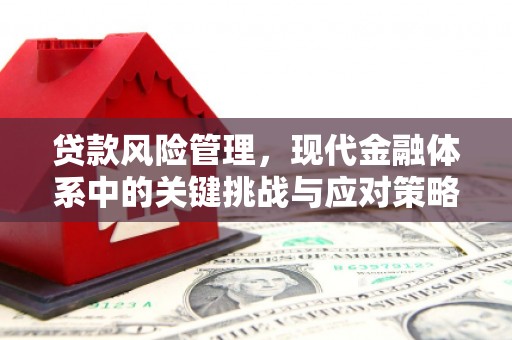 兴安贷款风险管理，现代金融体系中的关键挑战与应对策略