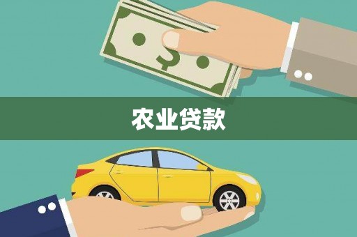 兴安农业贷款