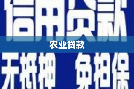 兴安农业贷款