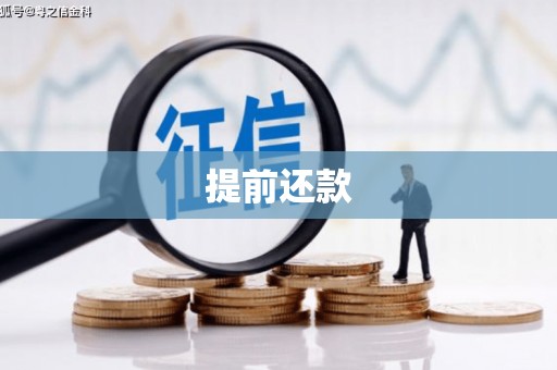 兴安提前还款