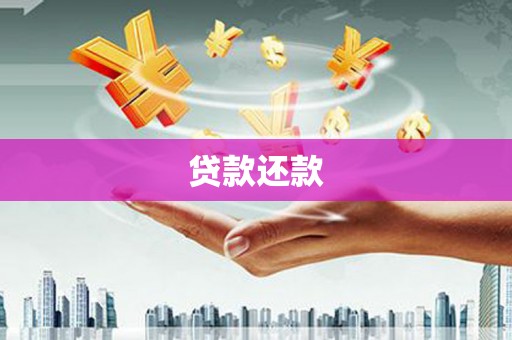 兴安贷款还款
