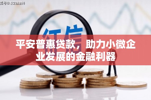 兴安平安普惠贷款，助力小微企业发展的金融利器