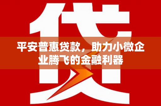 兴安平安普惠贷款，助力小微企业腾飞的金融利器