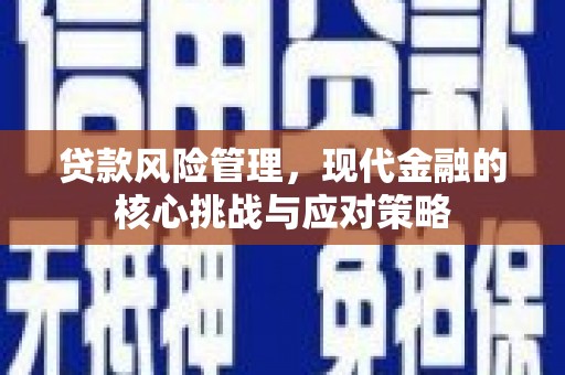 兴安贷款风险管理，现代金融的核心挑战与应对策略
