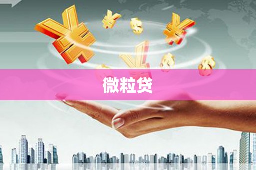兴安微粒贷